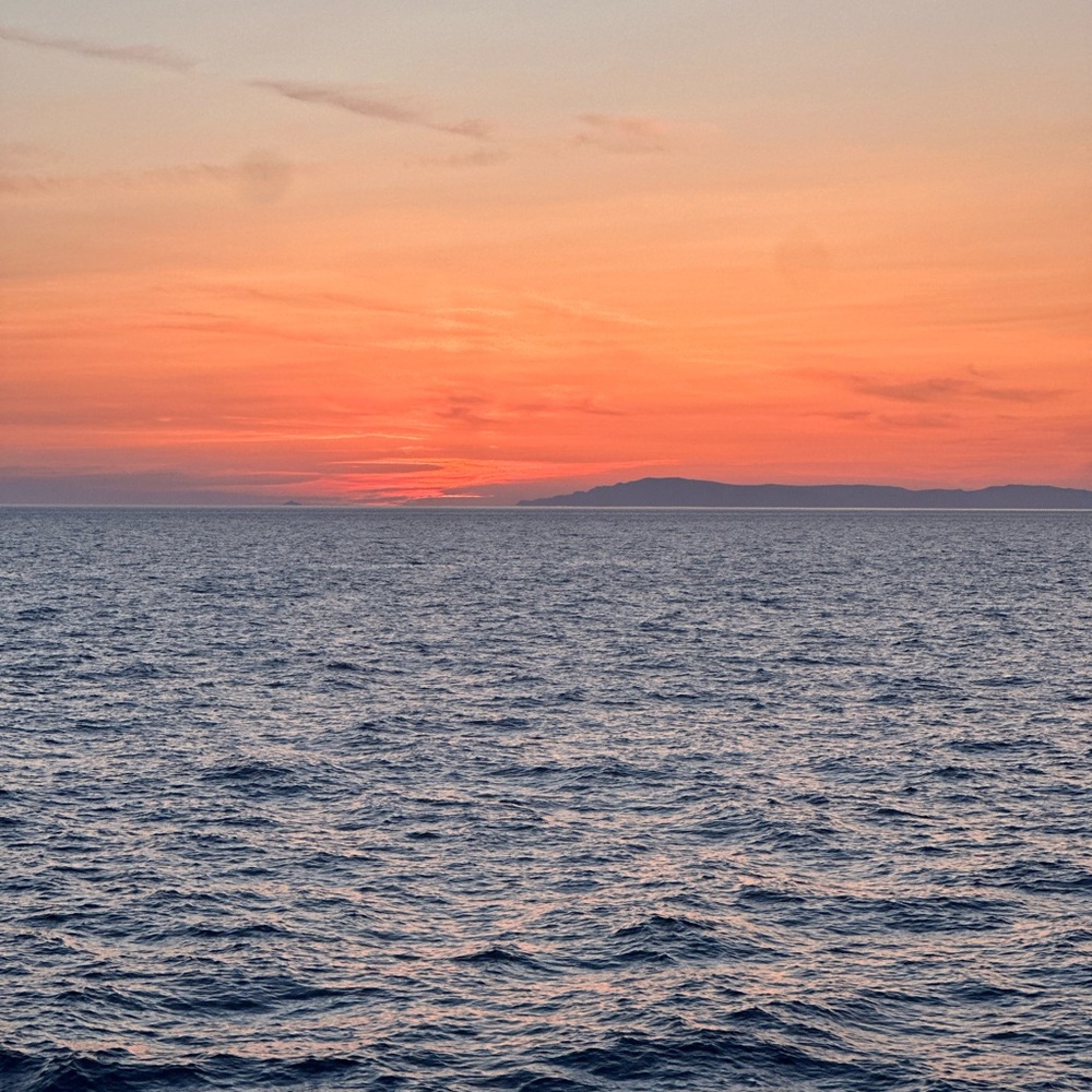 Meet your Posher, Winston C